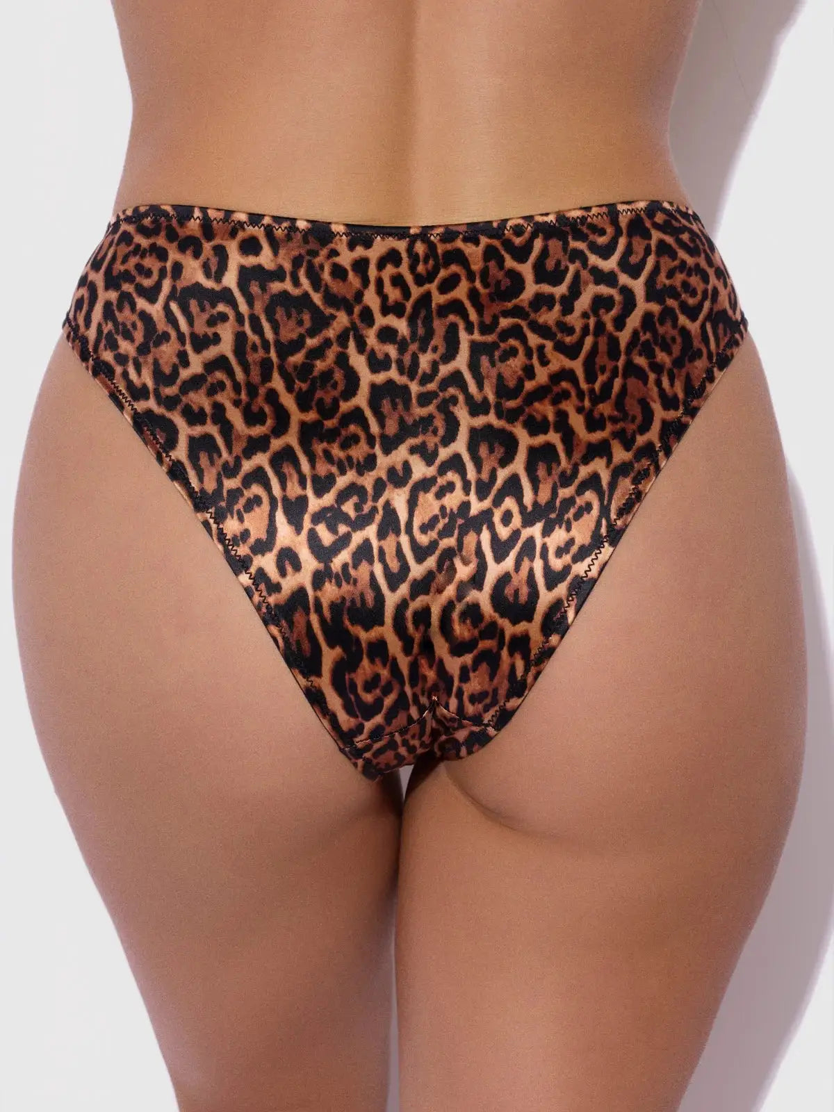Allegra Liquid Stain Hipster by House of Desire