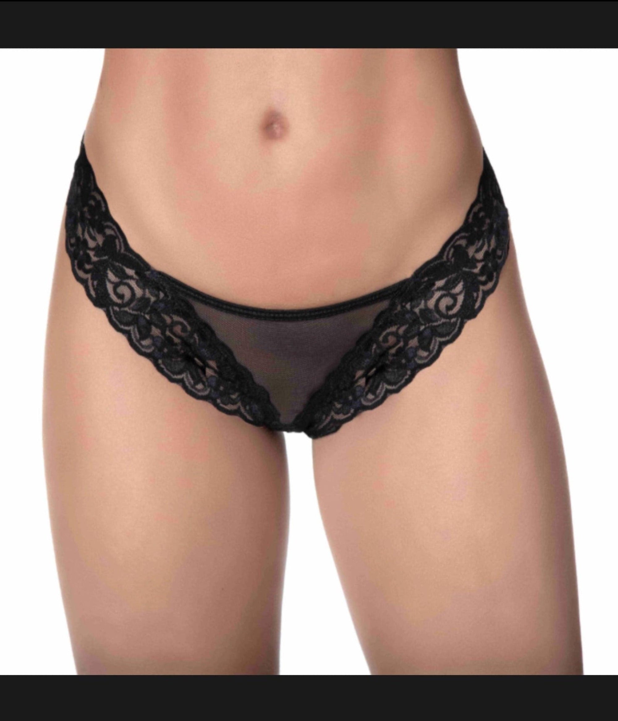 Lace and Mesh Panty - Seductive Stature