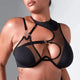 Ursa Bra by Thistle and Spire